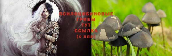 мескалин Алексеевка
