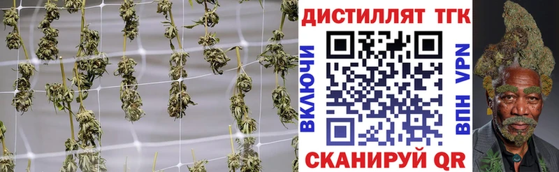 купить закладку  Новопавловск  Дистиллят ТГК вейп с тгк 