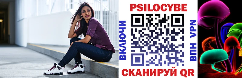 Псилоцибиновые грибы Psilocybe  Новопавловск 